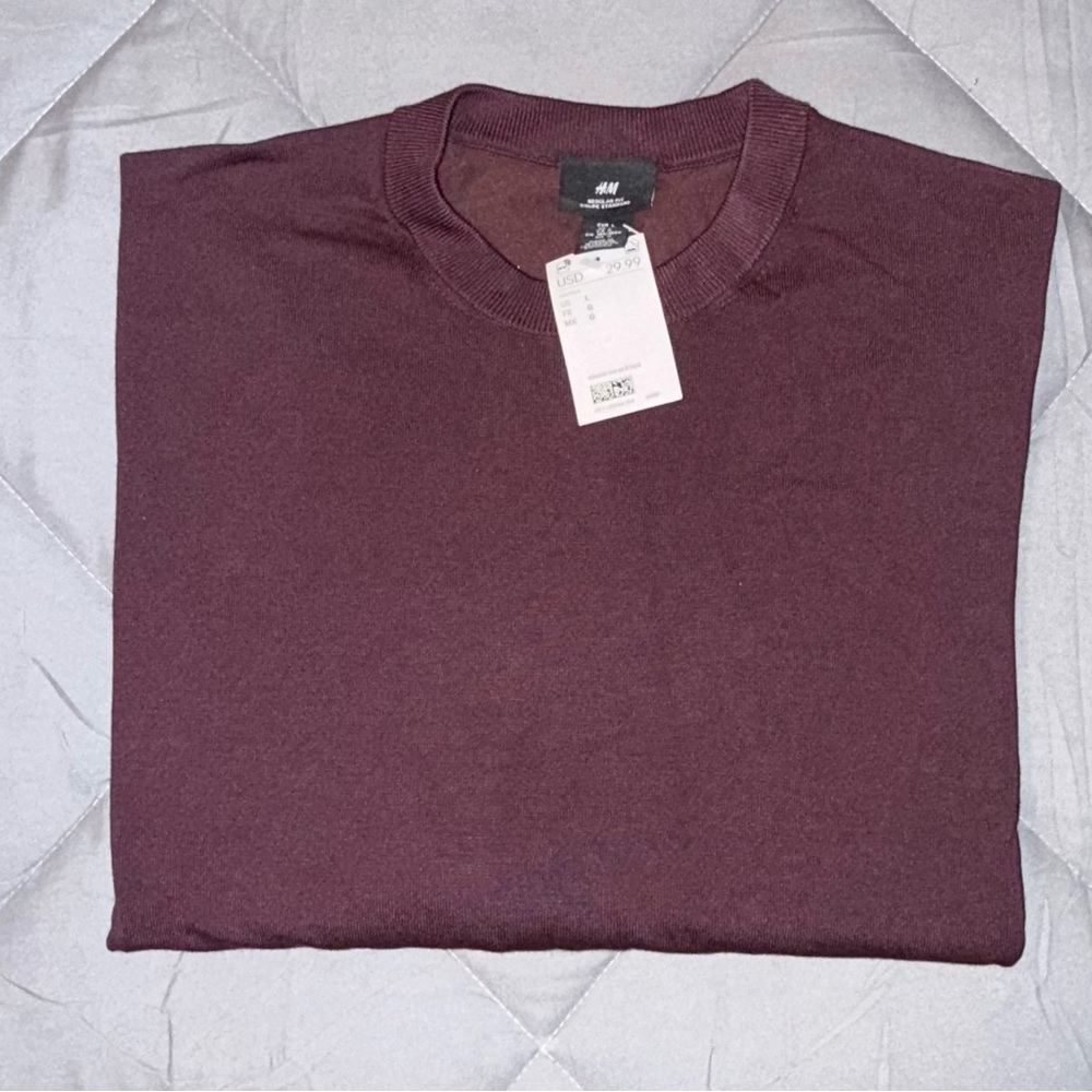 H&M Men’s Large Regular Fit Crew Neck Sweater